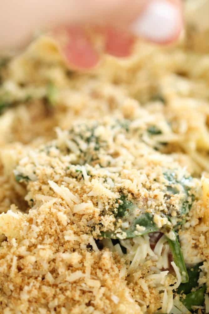 close up view of uncooked pasta chicken casserole