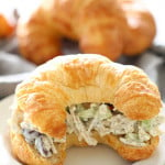 Chicken salad with grapes on croissant