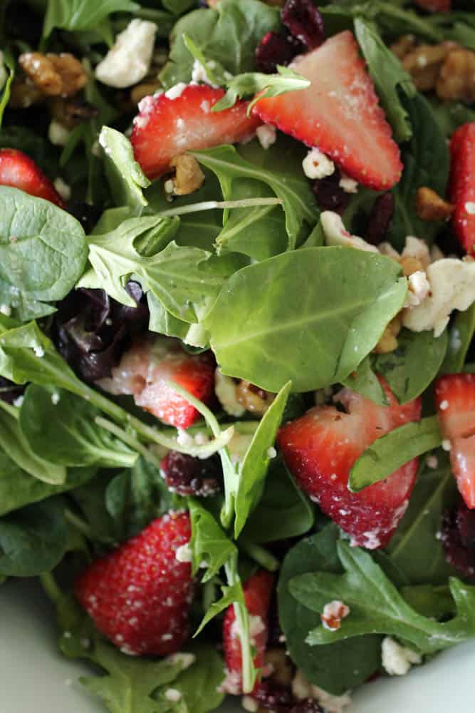 Spring Salad with Homemade Lemon Poppyseed Dressing 