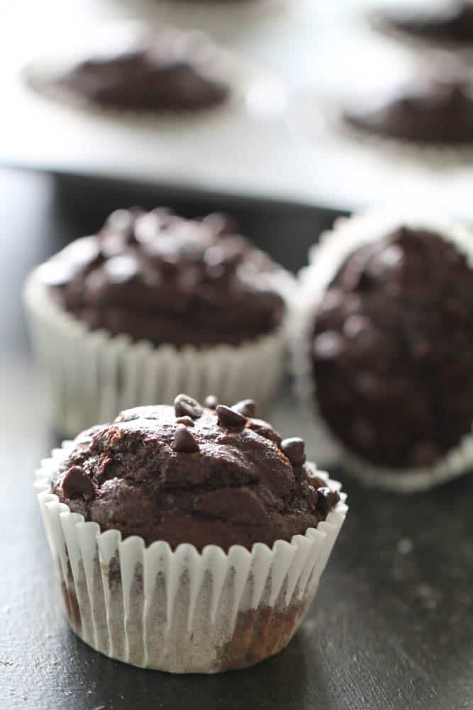 Chocolate Protein Muffins