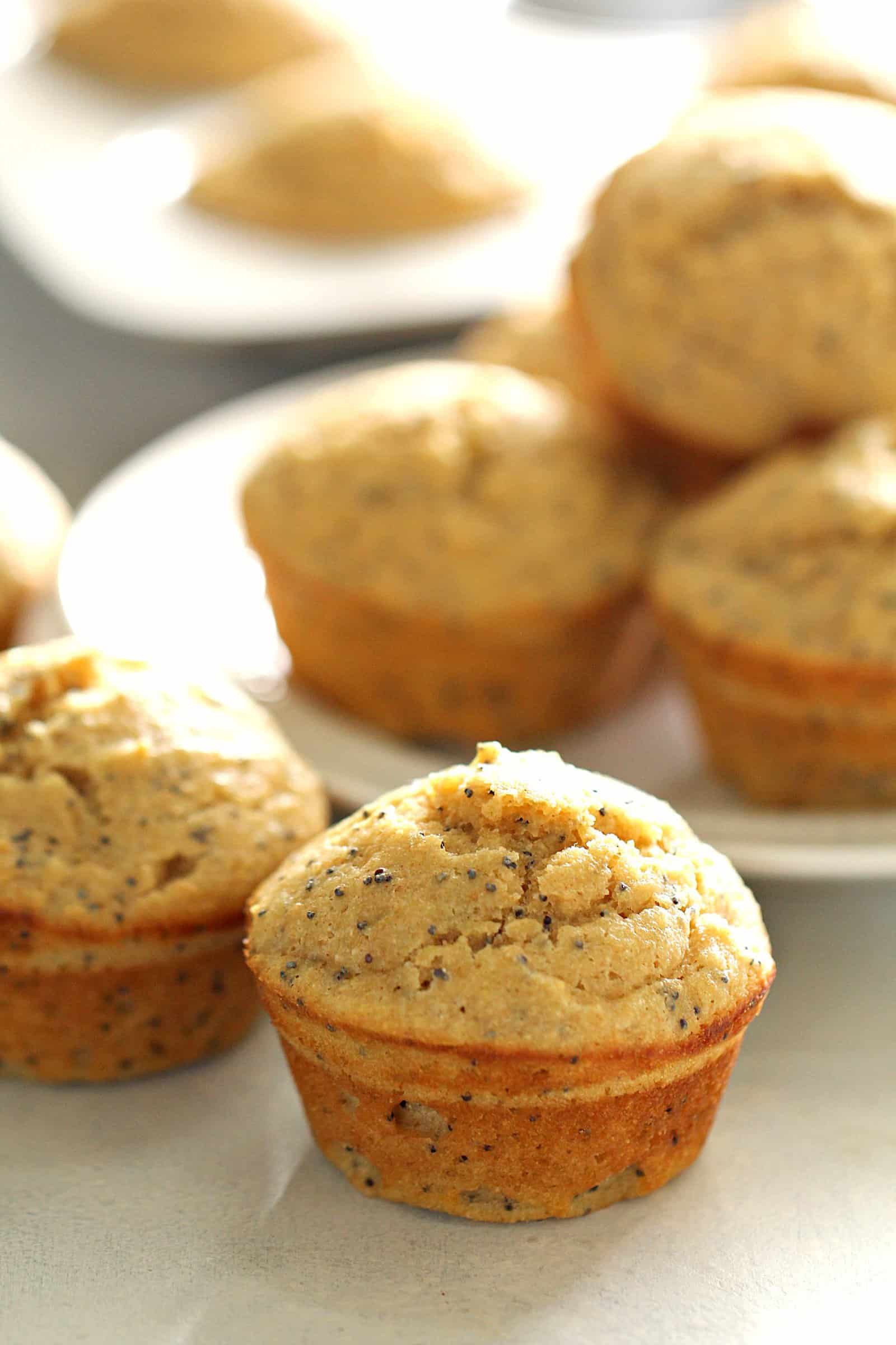 Healthy Greek Yogurt Lemon Poppy Seed Muffins