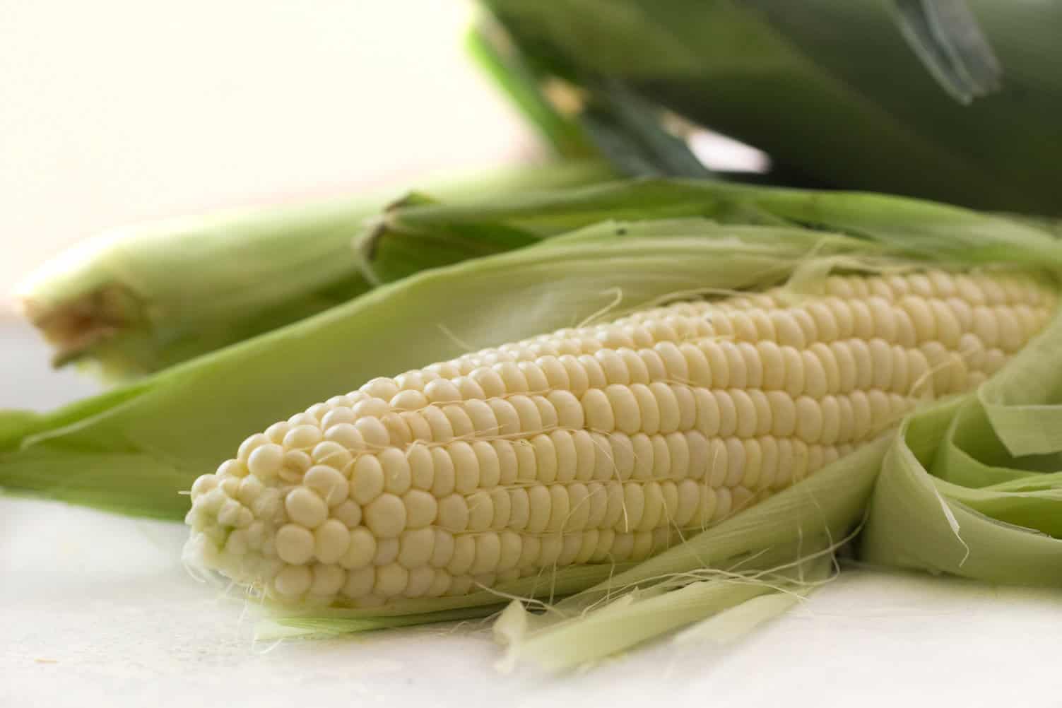 Fresh corn on the cob