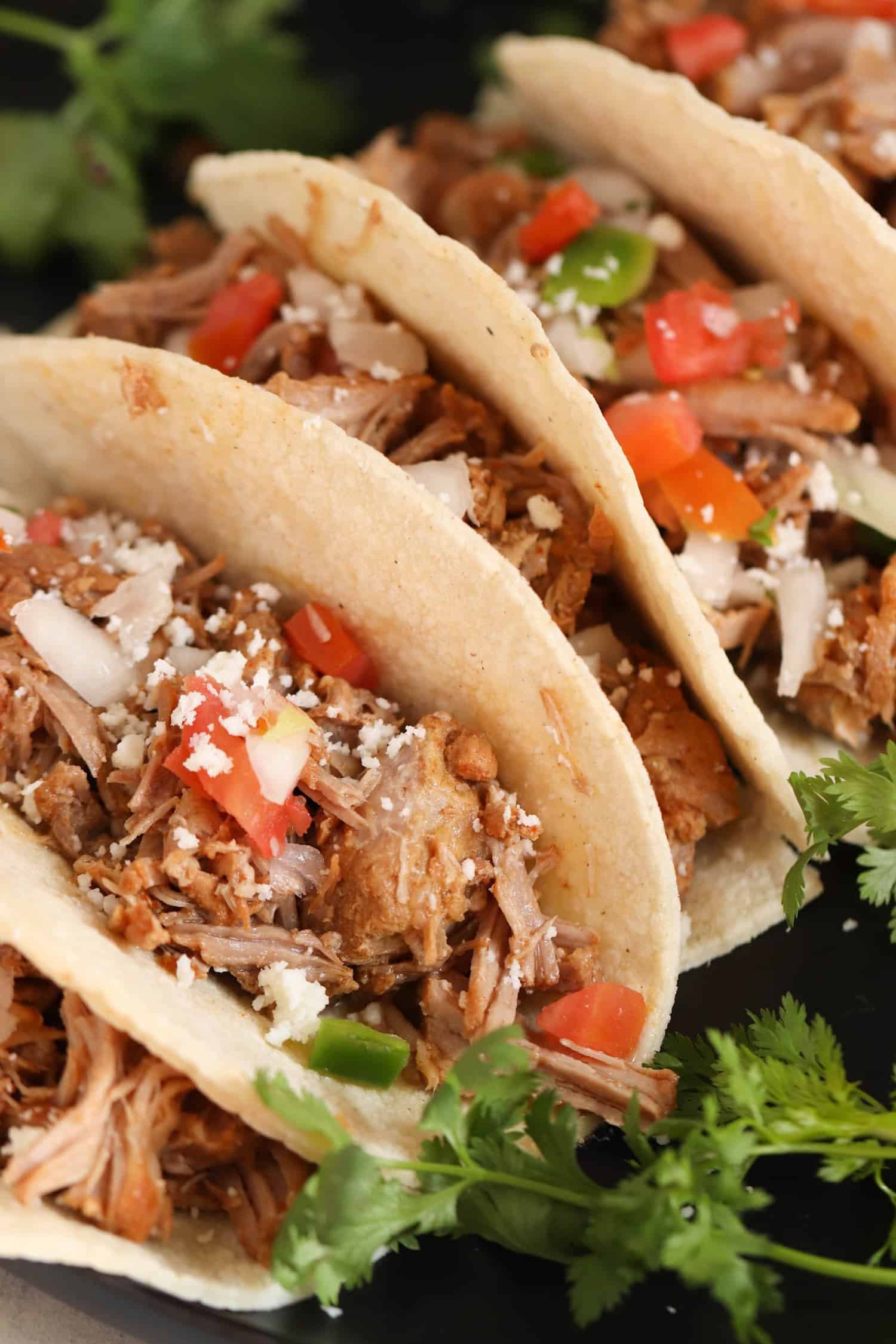 Slow Cooker Pork Carnitas Recipe