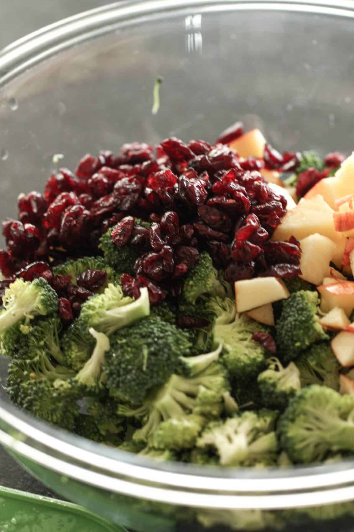 A glass bowl contains chopped broccoli, diced apples, and dried cranberries.