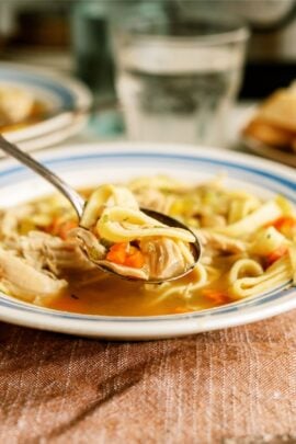instnat pot chicken noodle soup