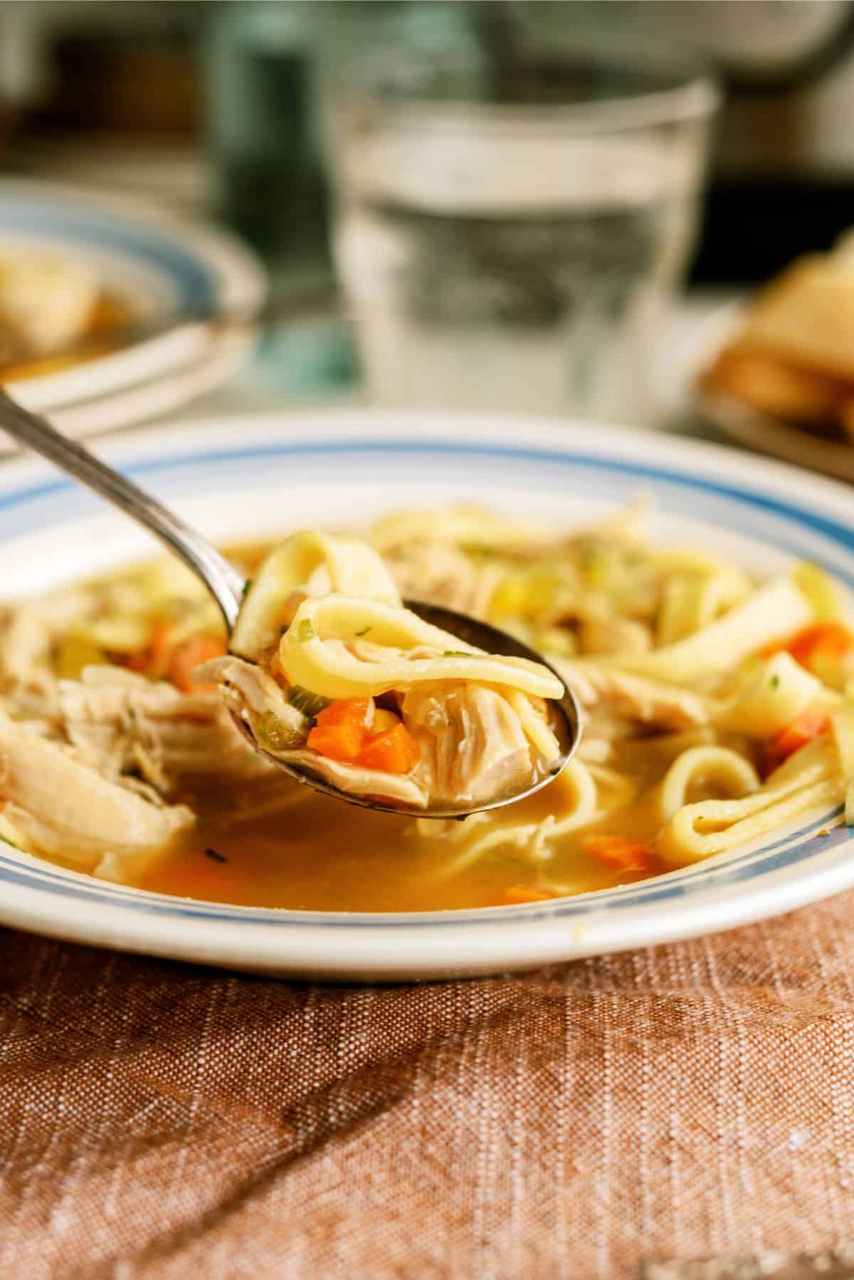 Instant Pot Chicken Noodle Soup Recipe