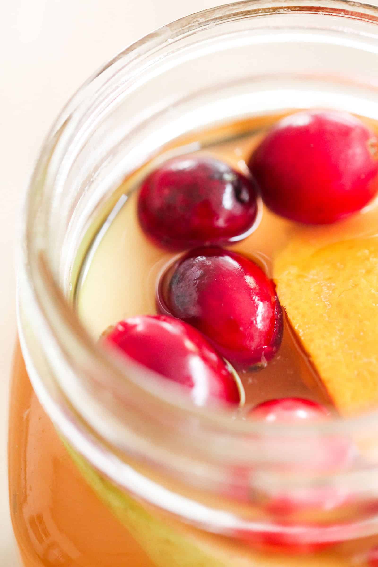 Instant Pot Apple Cider in a mug garnished with cranberries and oranges