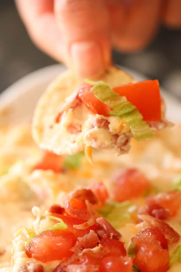 Chip being dipped into Baked BLT Dip