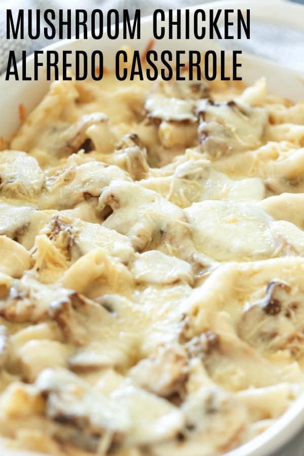 Mushroom Chicken Alfredo Casserole Recipe