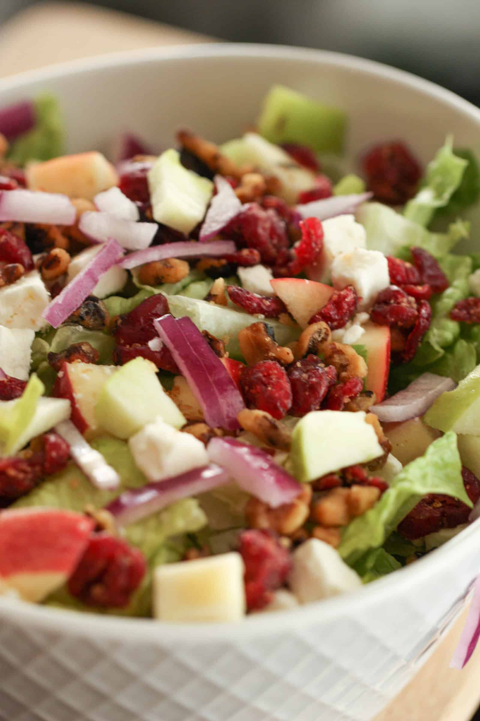 Winter Cranberry Apple Salad