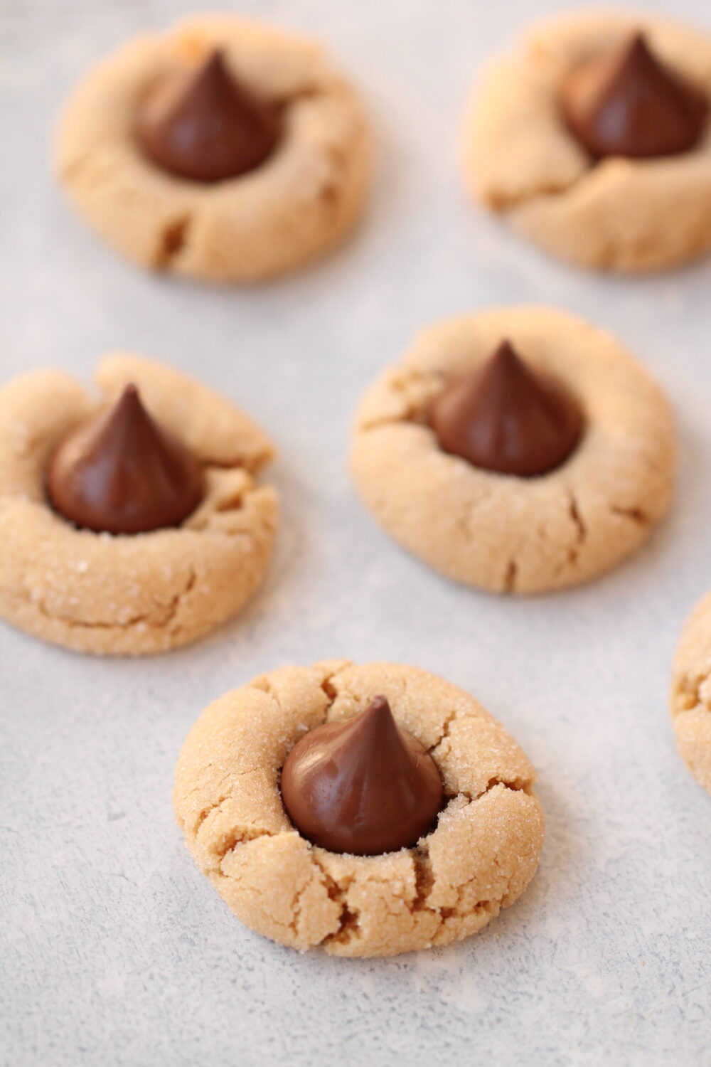 Close up of Peanut Butter Blossoms