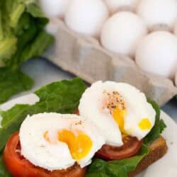A slice of bread topped with lettuce, tomato, and two poached eggs. Eggs are runny. An egg carton and lettuce are in the background.