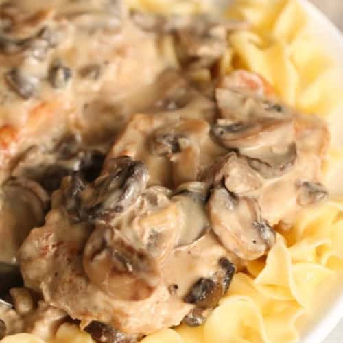 Plate of egg noodles topped with creamy pork and sliced mushrooms in a sauce.