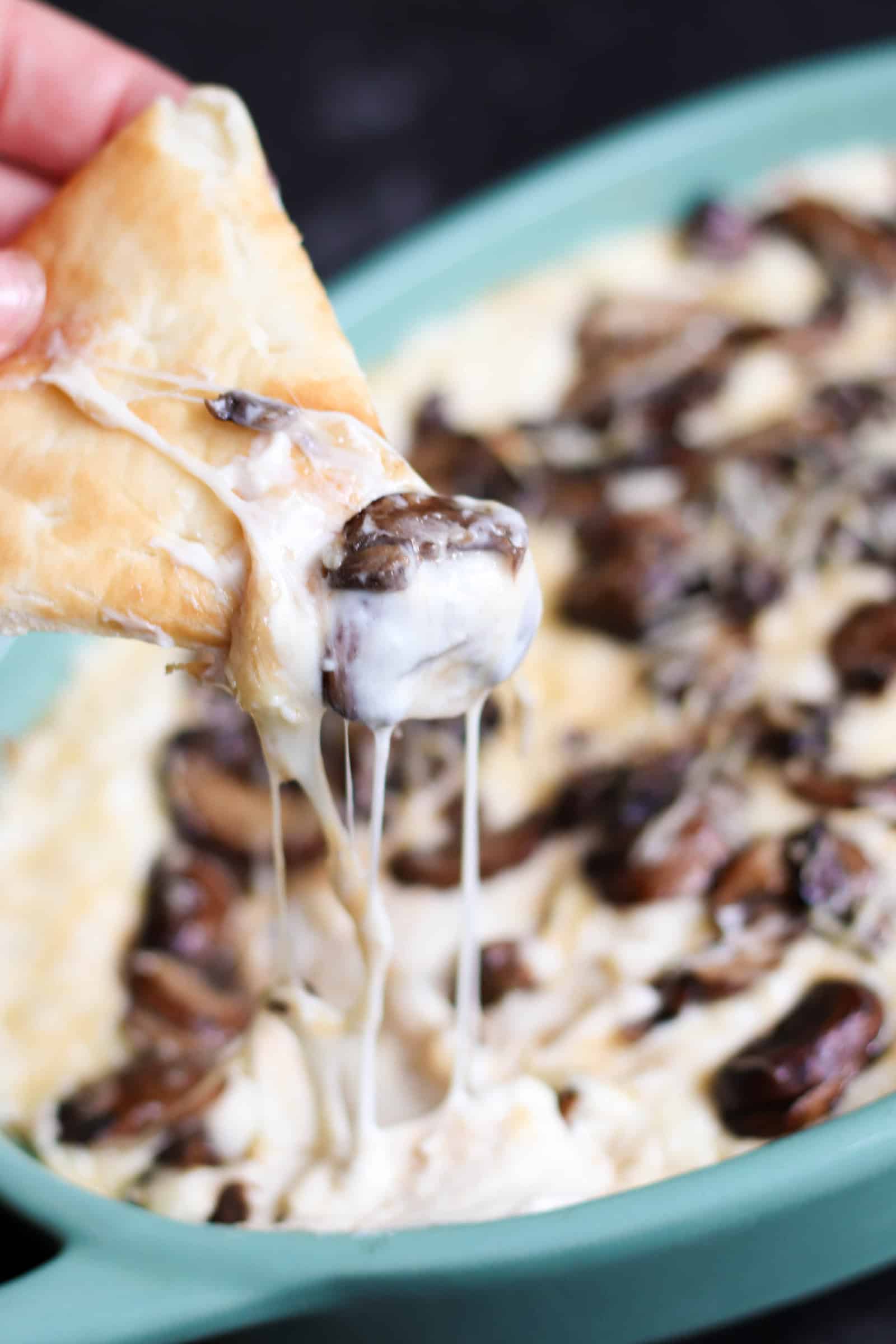 Cheesy Mushroom Dip