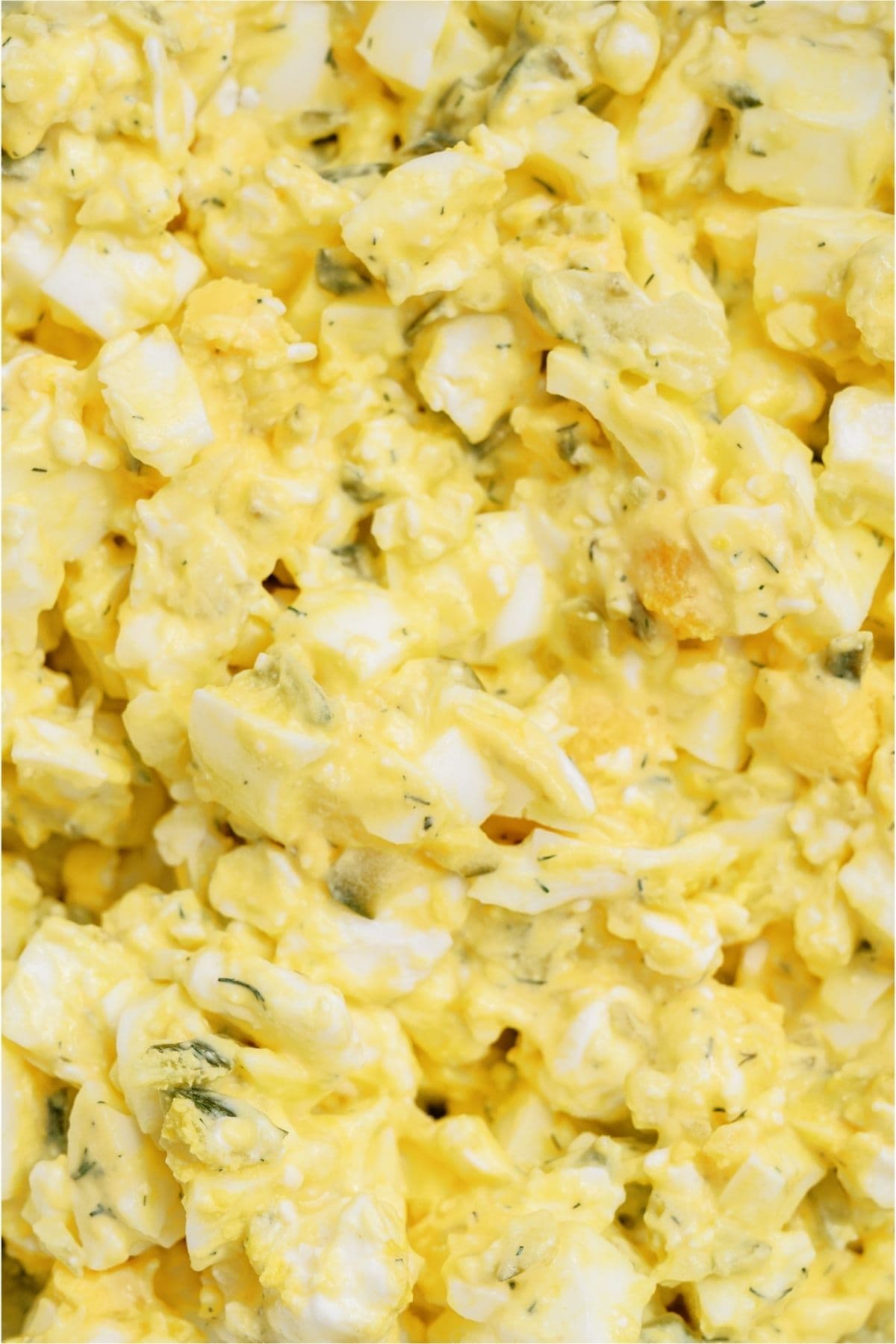 Close up of High Protein Egg Salad.