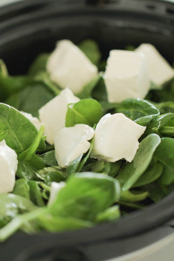 Cubed cream cheese on top of spinach