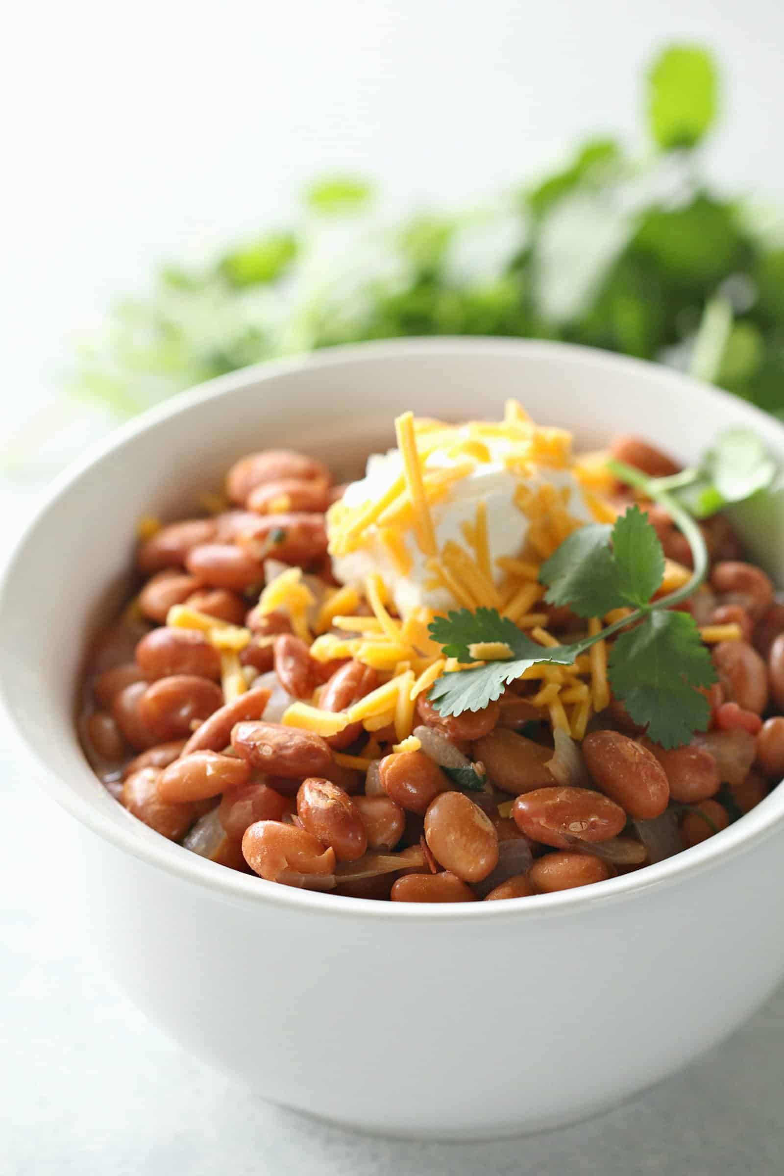 Easy Texas Pinto Beans Recipe