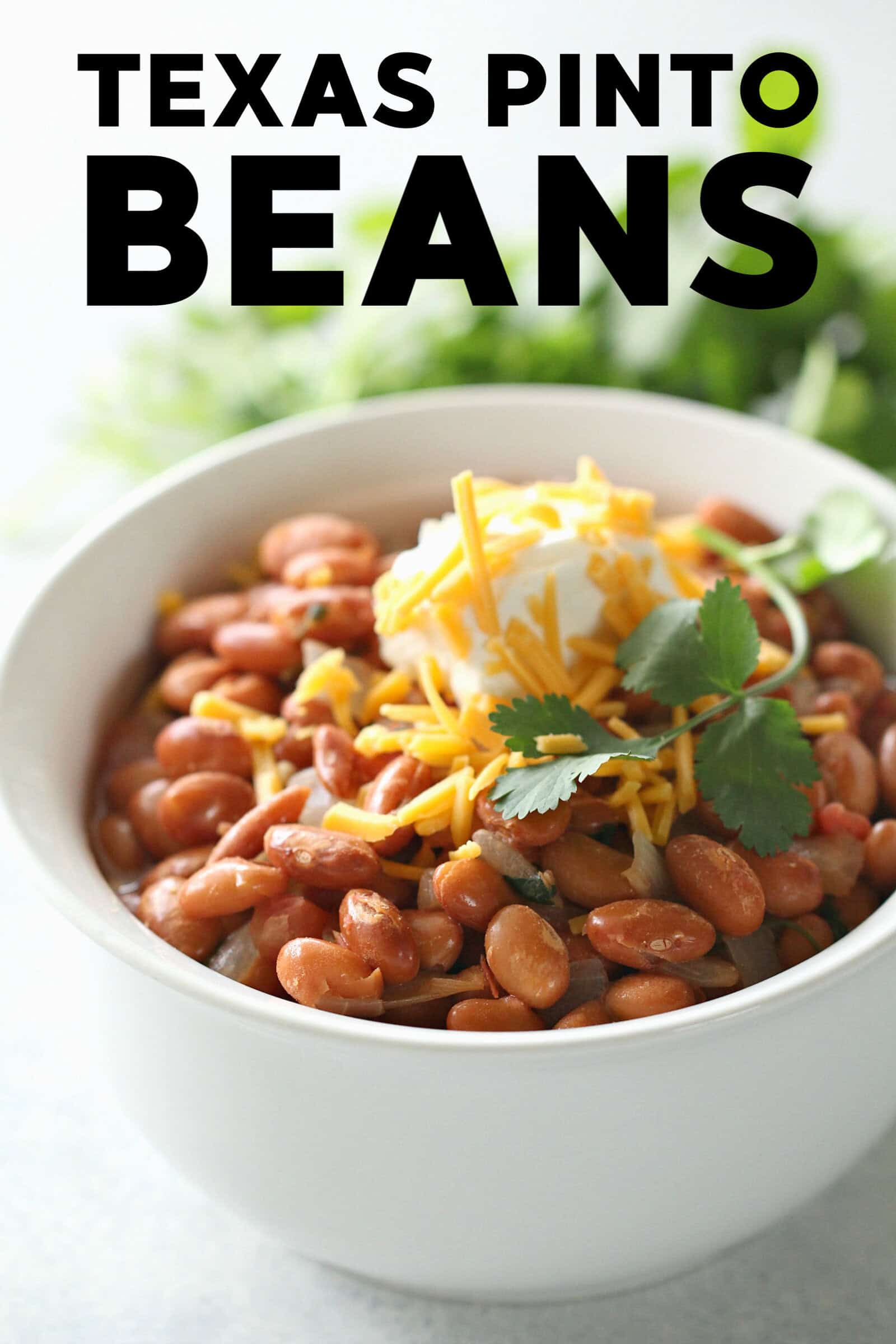 Easy Texas Pinto Beans in a bowl with toppings