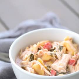 slow cooker chicken tomato tortellini soup