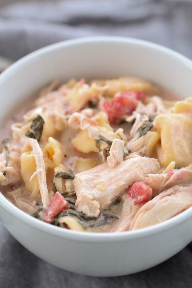 Slow Cooker Chicken Tortellini Tomato Soup in a bowl