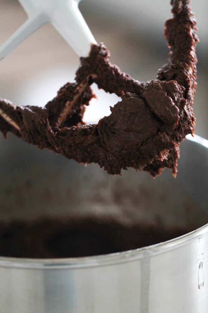 Brownie Mixture in Stand Mixer