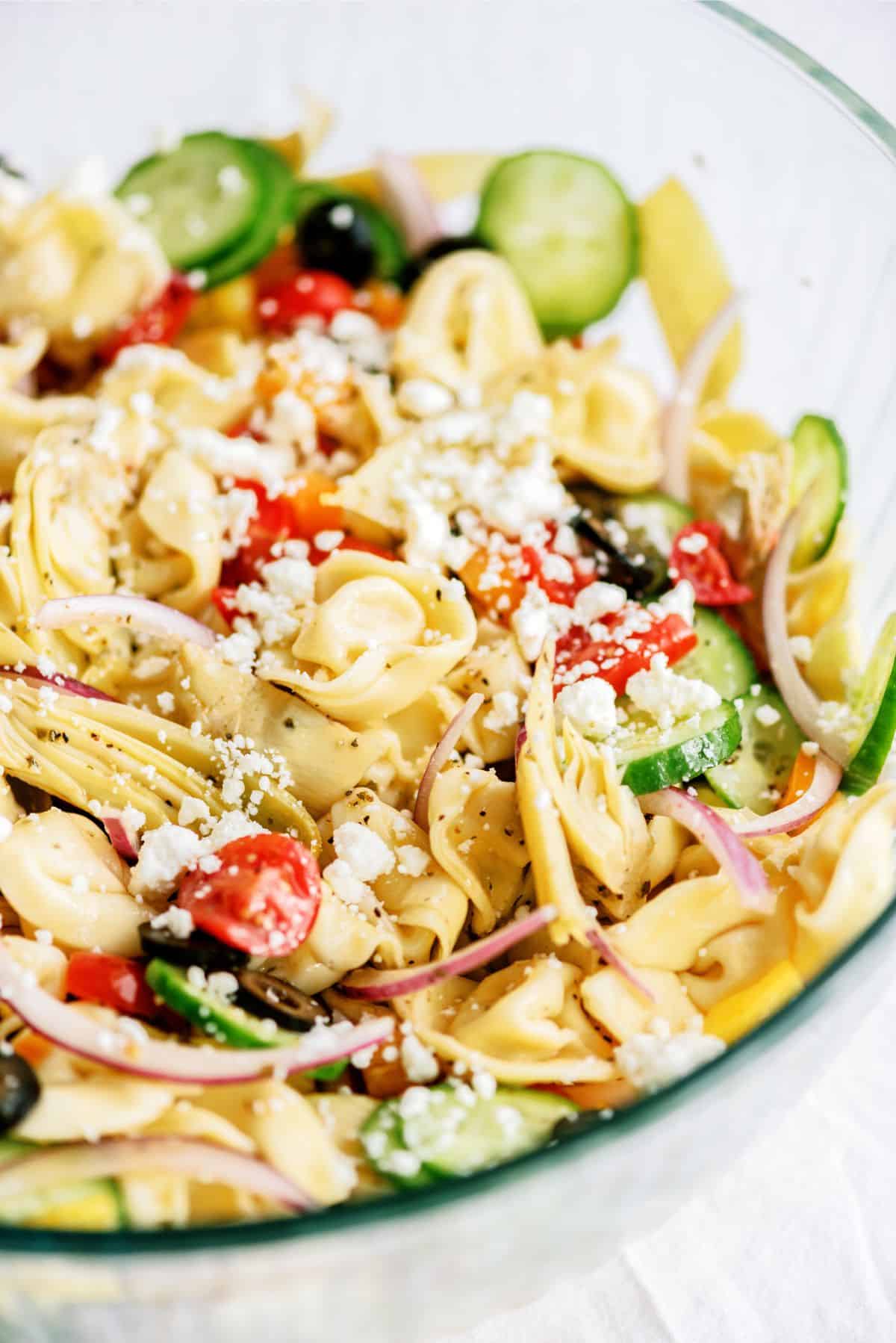 Tortellini Pasta Salad Recipe