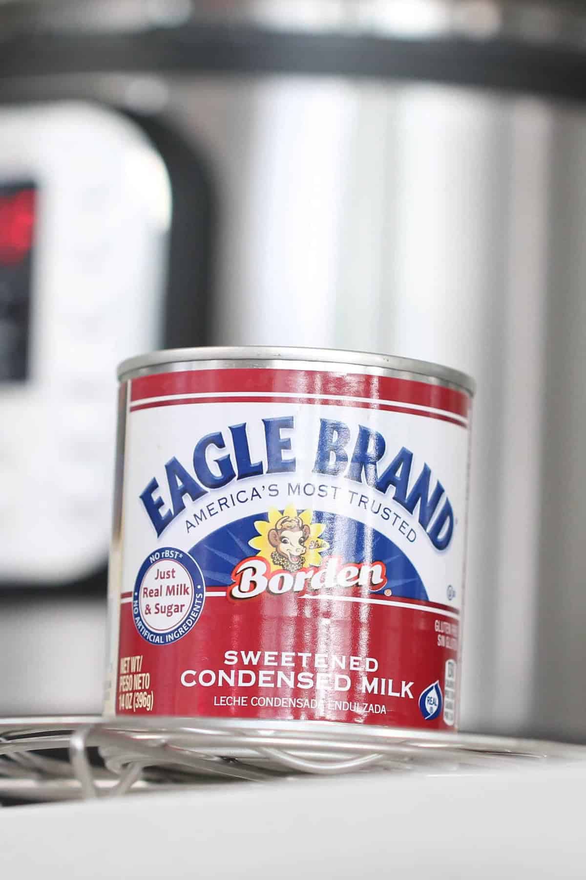 A can of Eagle Brand Borden sweetened condensed milk sits on a metal rack in front of a blurred kitchen appliance.