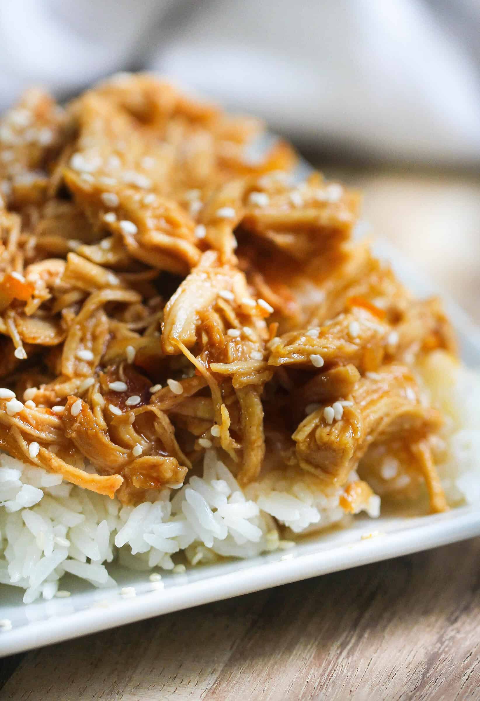 Shredded chicken and sales rice instant pot