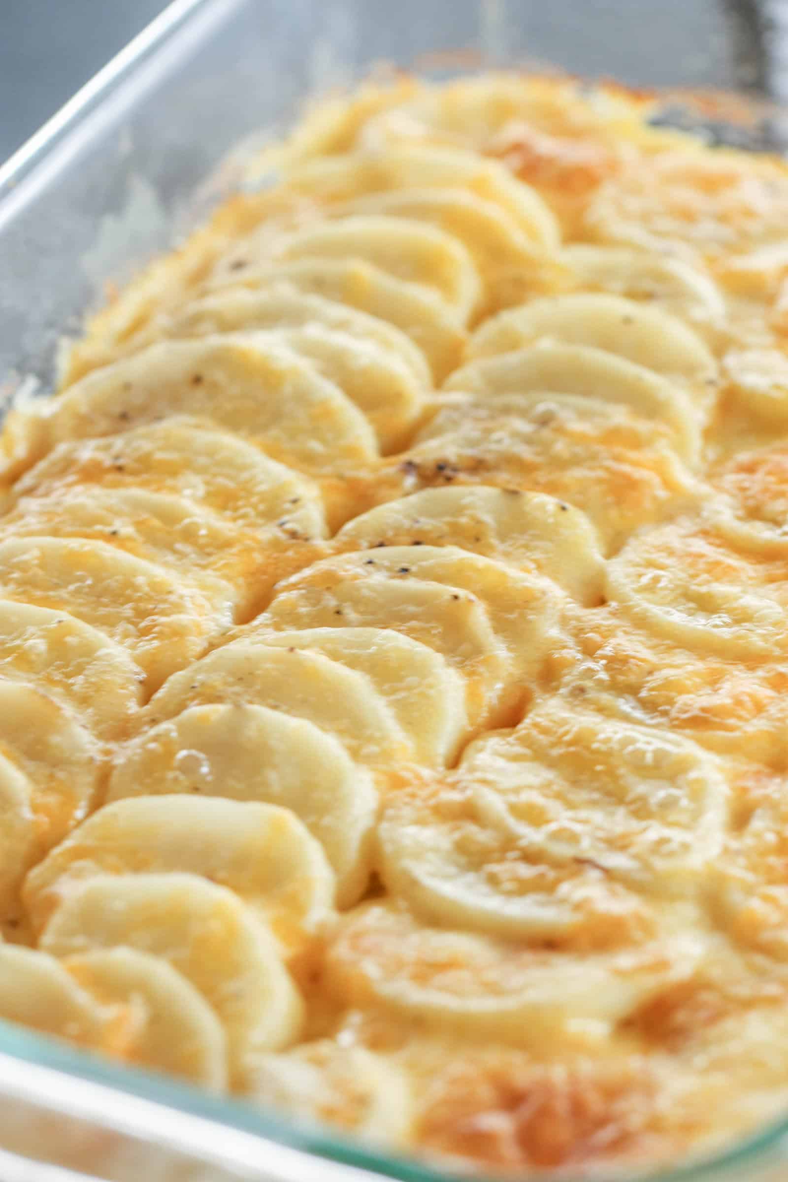 Au Gratin Potato Bake