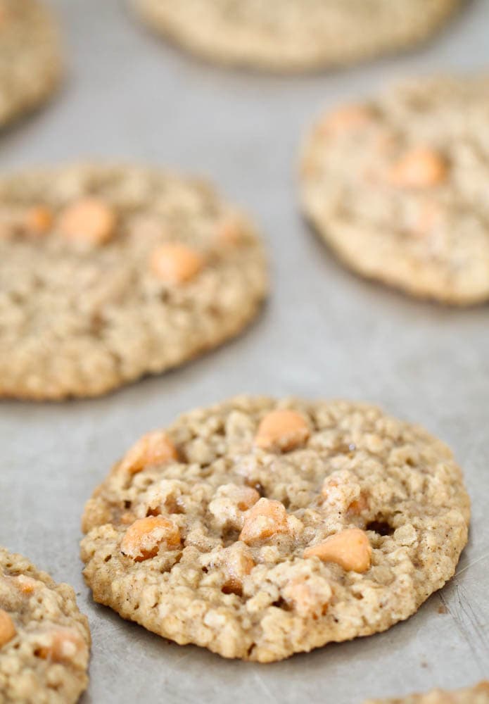 Oatmeal Scotchies Cookies on a baking sheet.