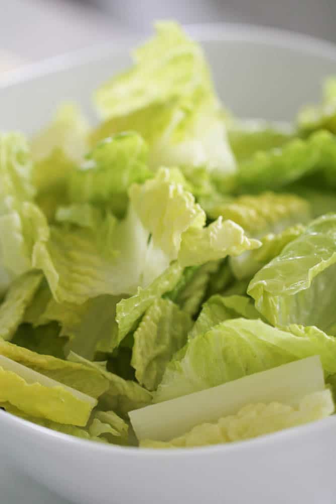 Romaine lettuce in a bowl