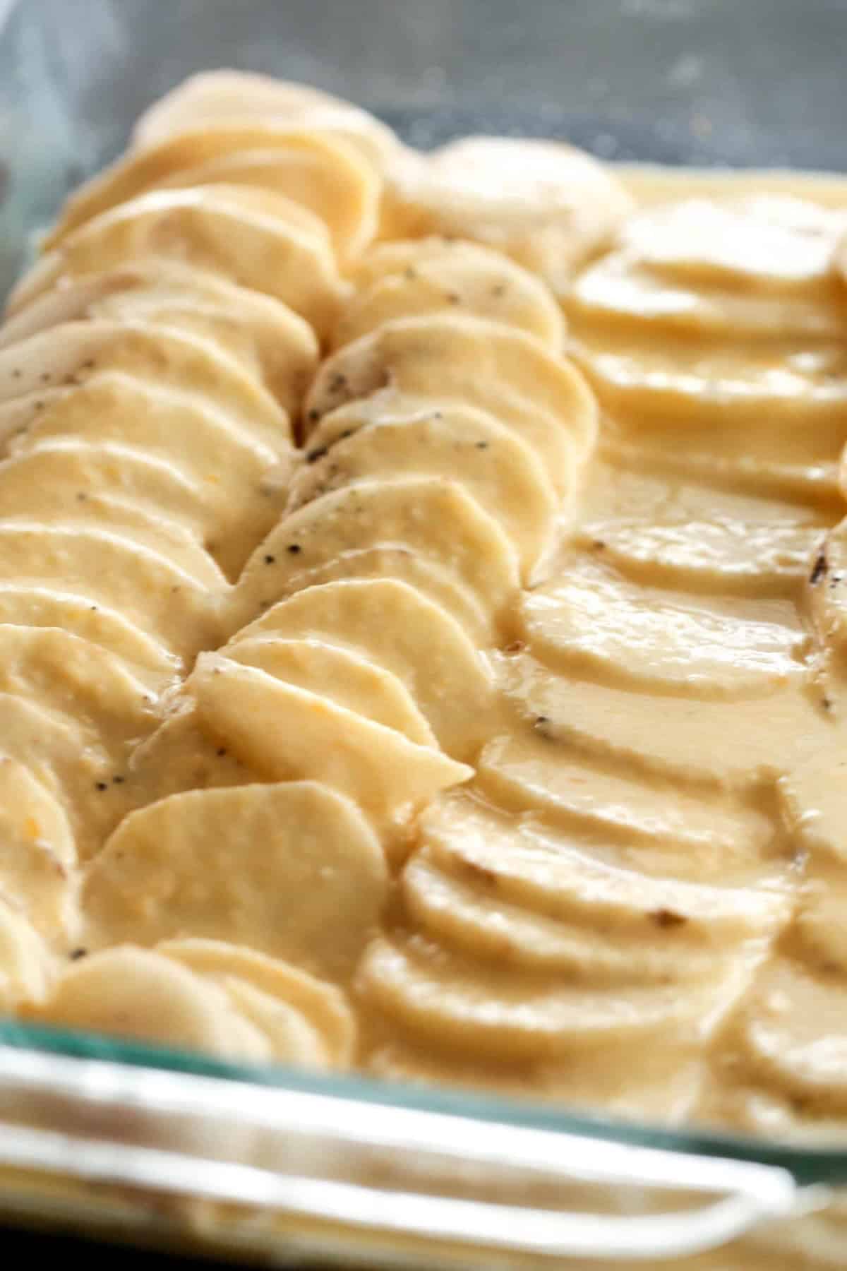 Sliced potatoes arranged in rows in a glass baking dish, covered with a creamy sauce, prepared for baking.