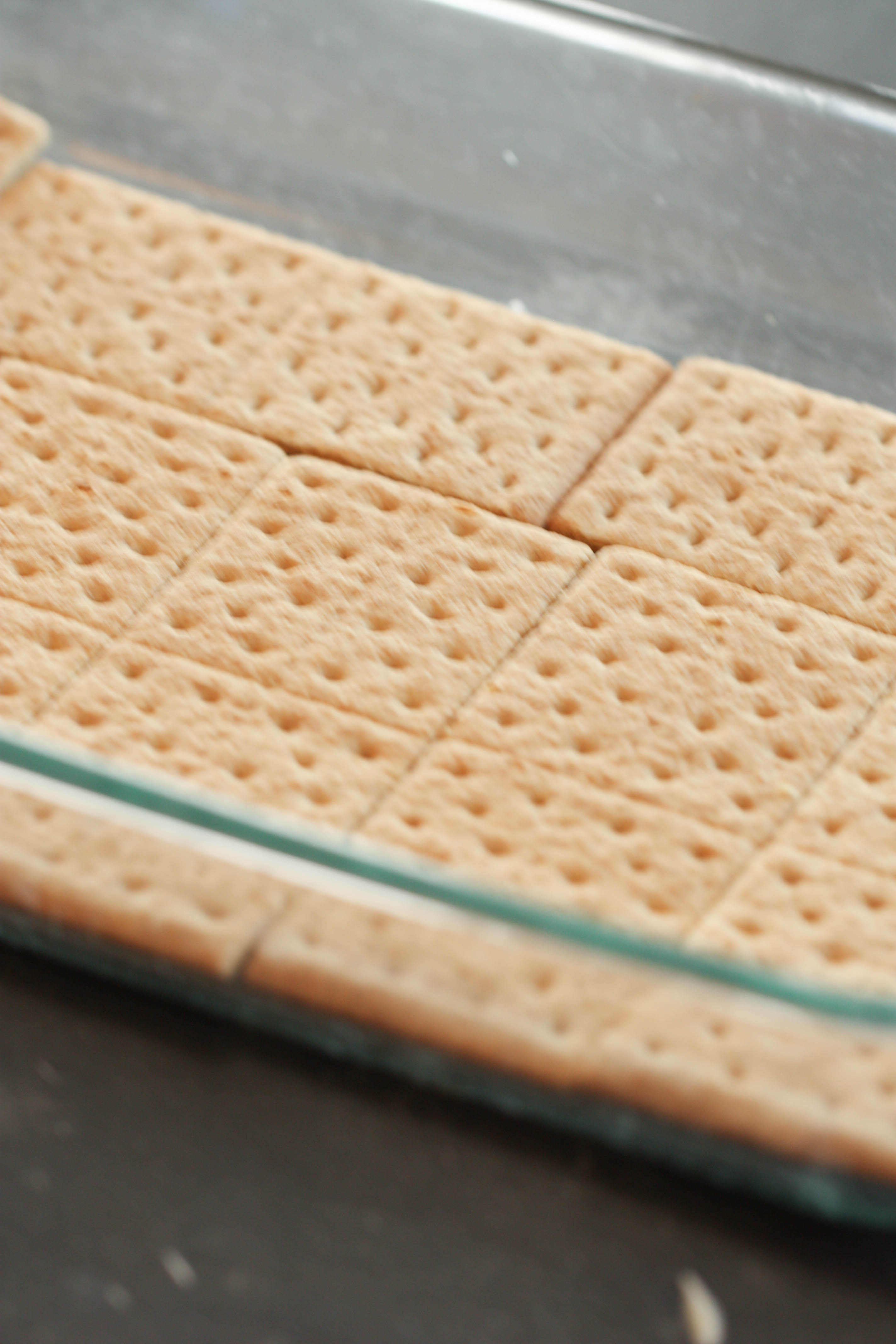 Graham crackers in the bottom of a 9x13 dish