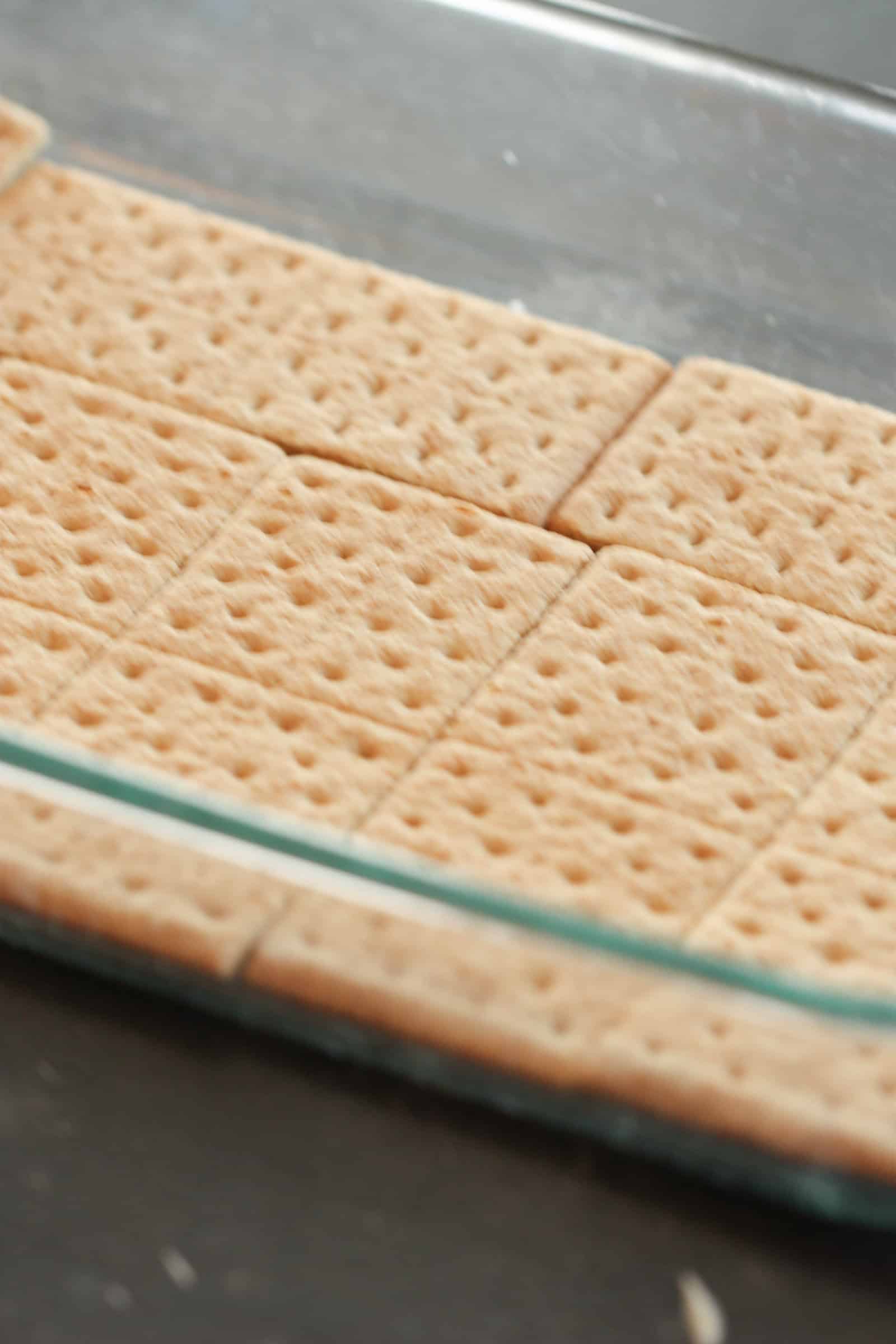 Graham crackers in the bottom of a 9x13 dish