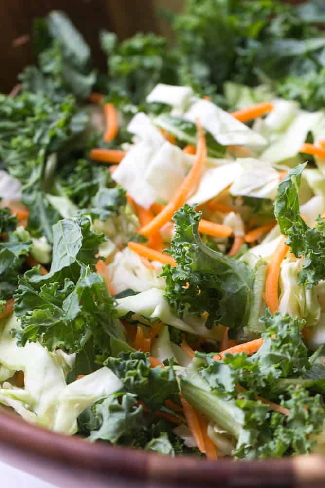 Close up of Asian Chopped Chicken Salad 