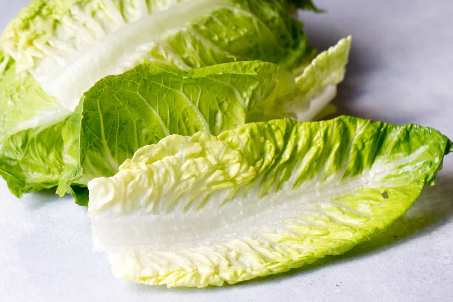 romaine lettuce for avocado tuna lettuce wraps