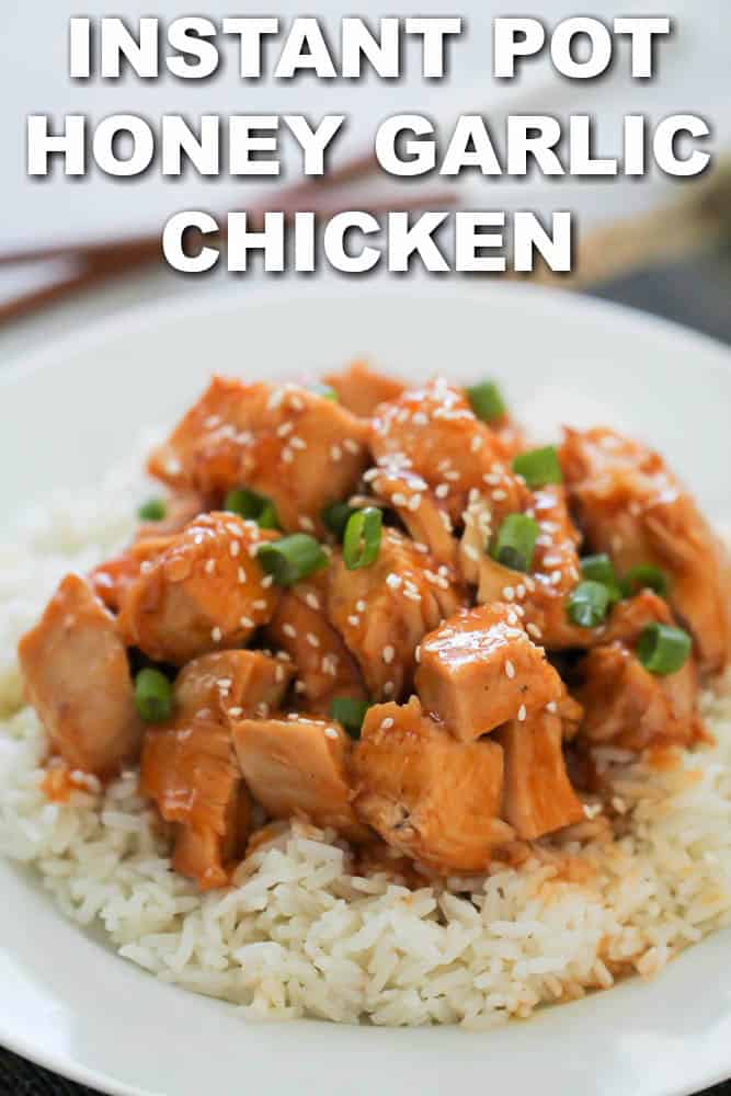 Honey Garlic Chicken Recipe made in my Ninja Slow Cooker 