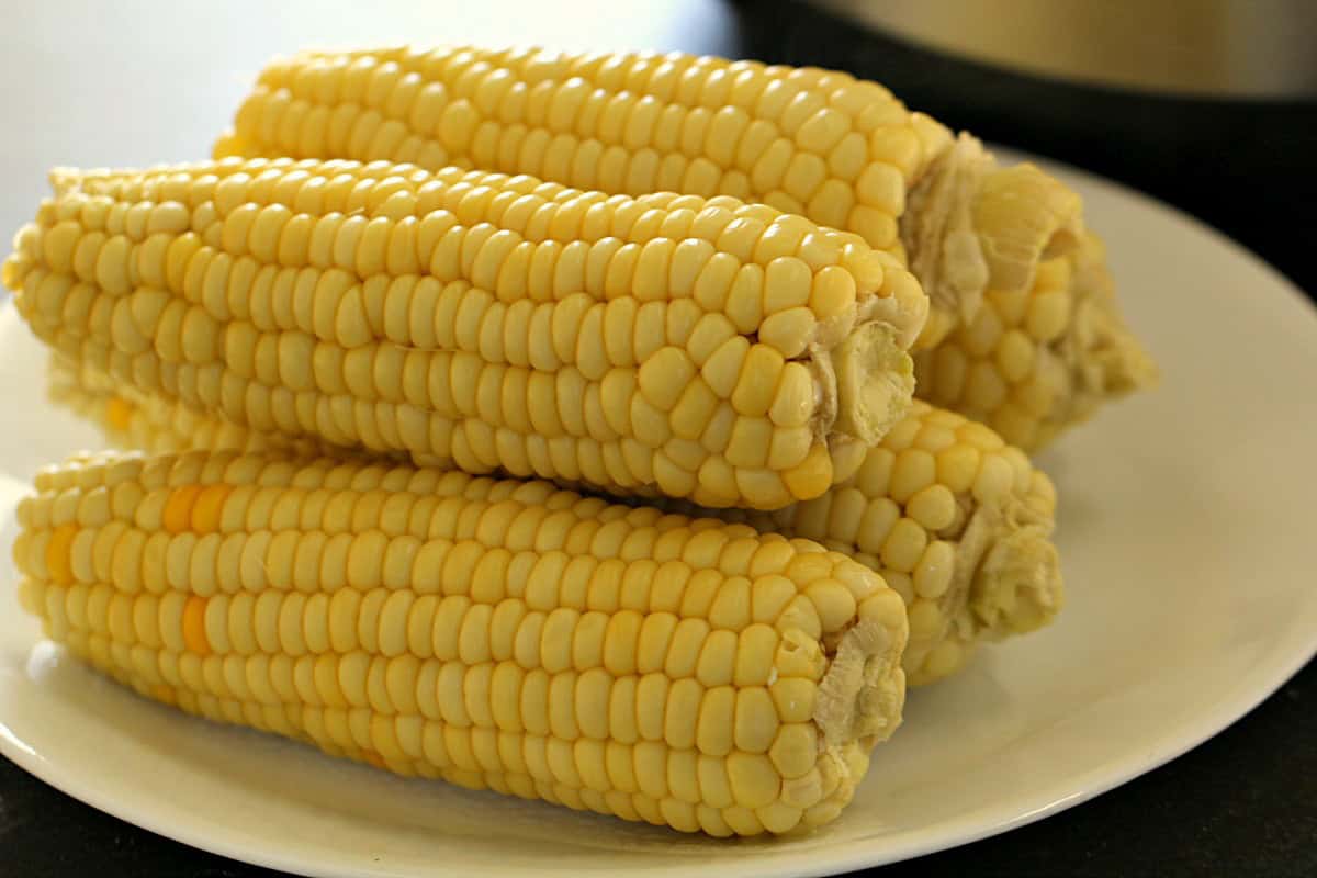 Corn on the cob on a white plate