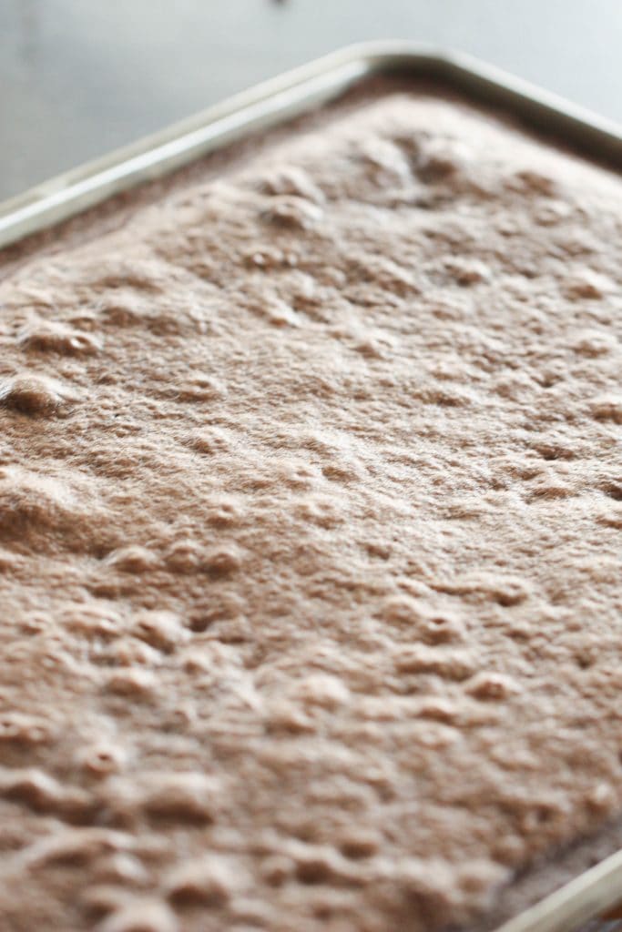 Baked Turtle Texas Sheet Cake in sheet pan.