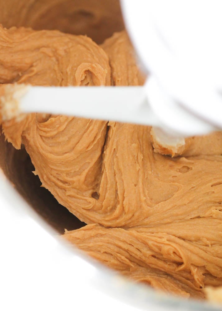 Butter, Sugar and Peanut Butter creamed together in mixing bowl