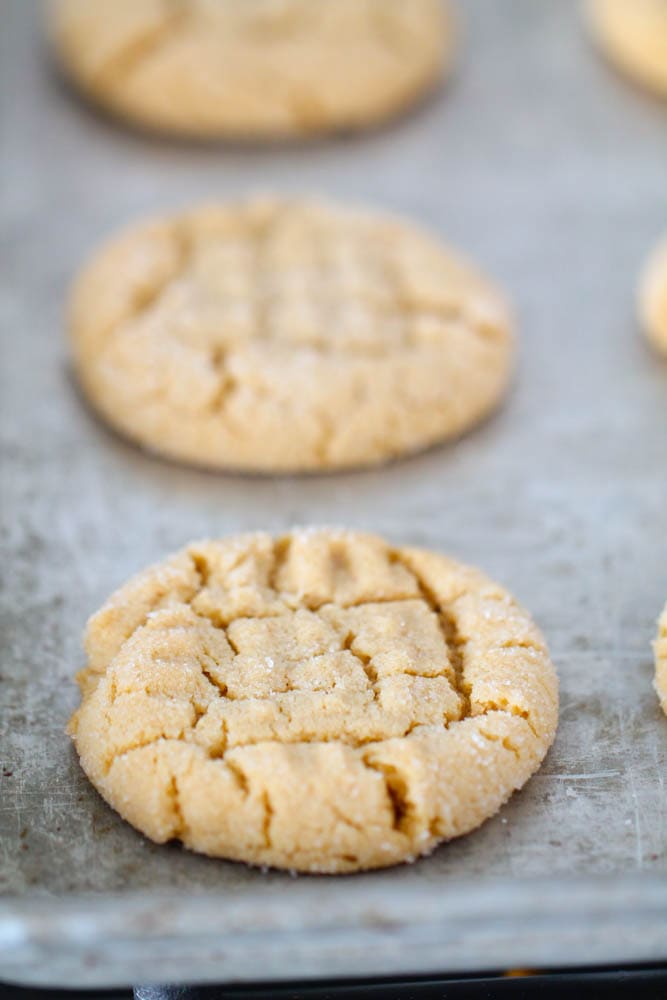 Perfect Peanut Butter Cookies on a baking sheet