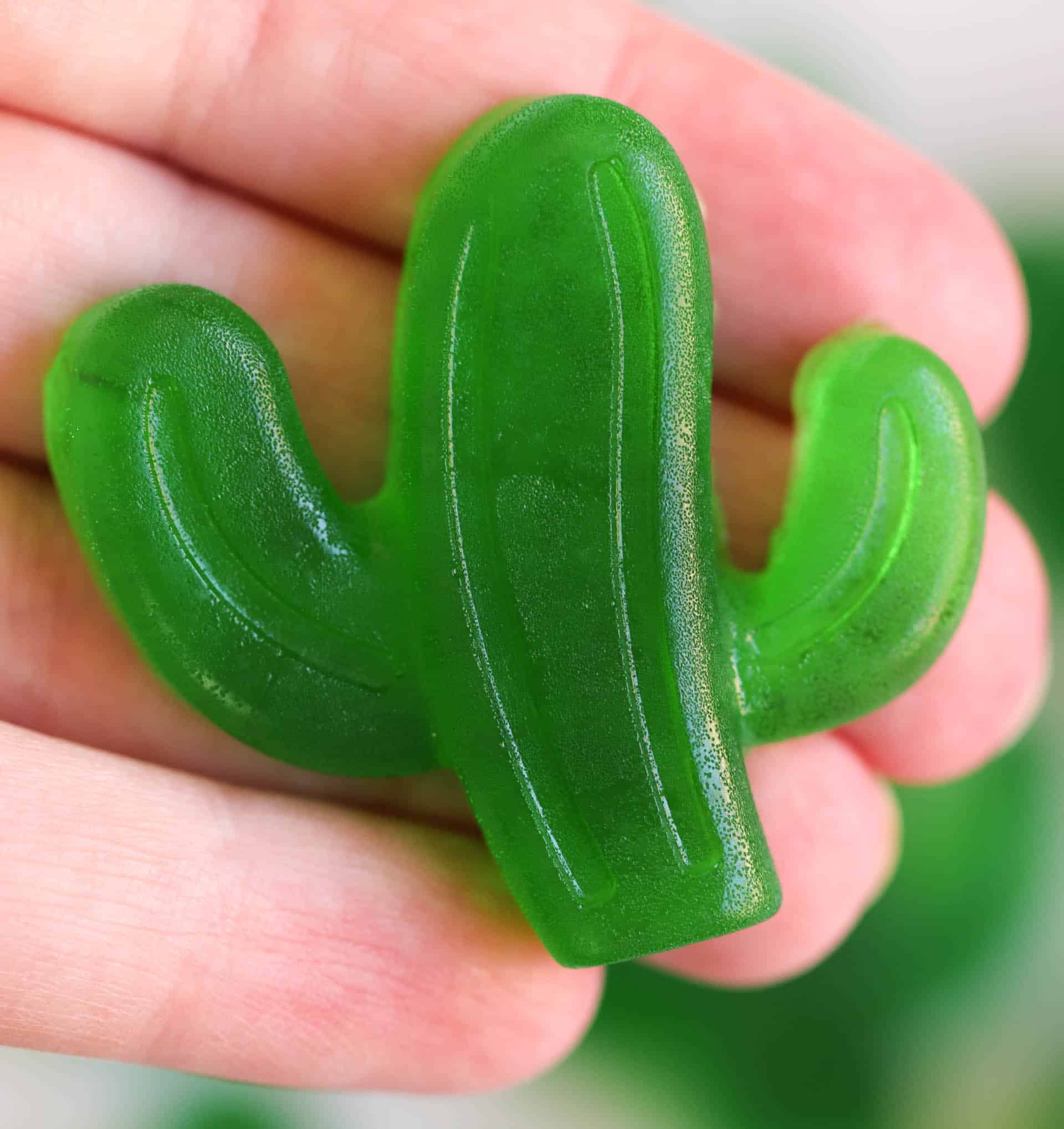 Cactus Gummy Homemade Jello Fruit Snacks