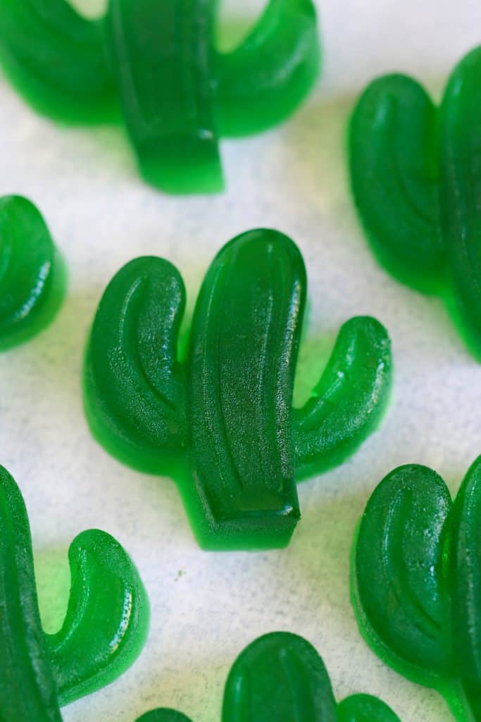 Jello Cactus shaped fruit snacks.