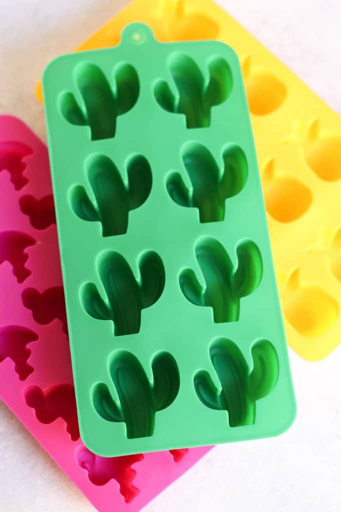 Fruit snack molds.