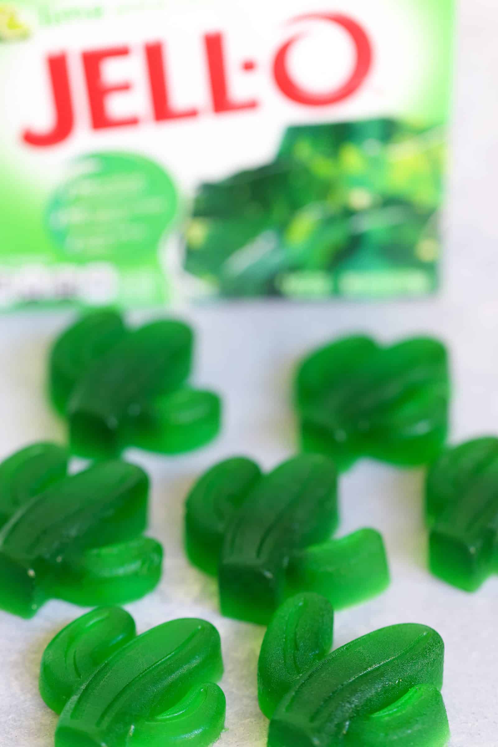 Homemade Jello Fruit Snacks Recipe