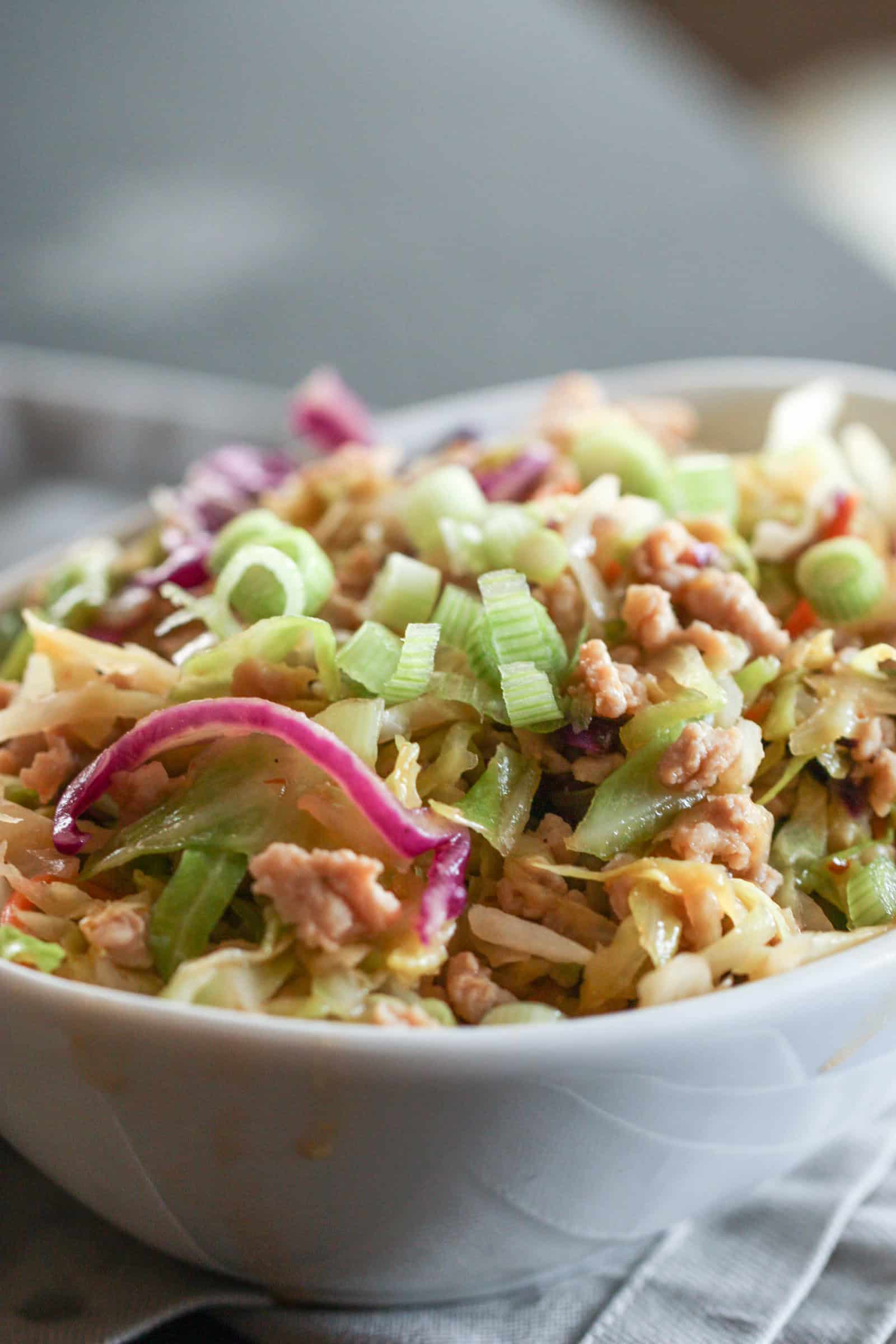 Close up of Egg Roll in a bowl, in a white bowl