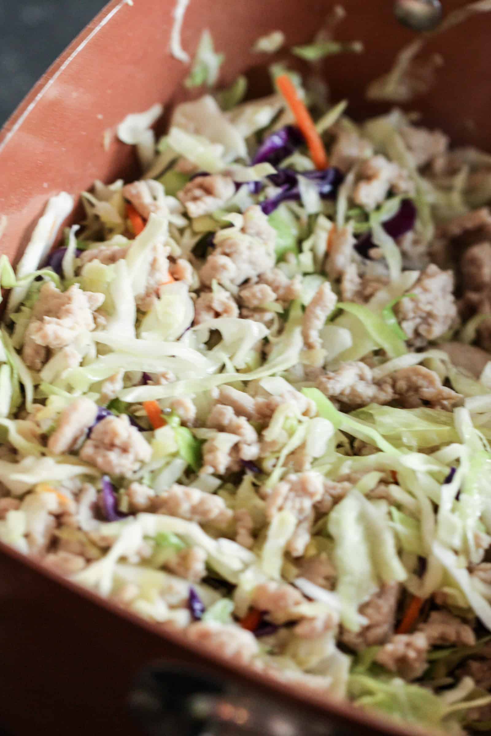 Close up of Egg Roll in a bowl, in a white bowl