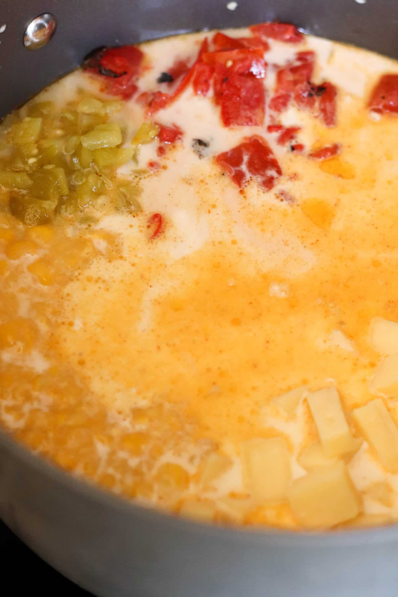 Soup ingredients simmering in sauce pot together