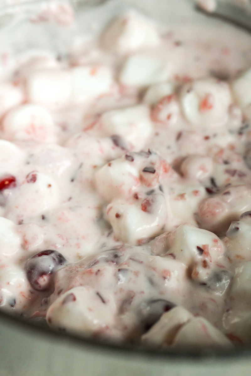 close up view of cranberry salad for six sisters stuff