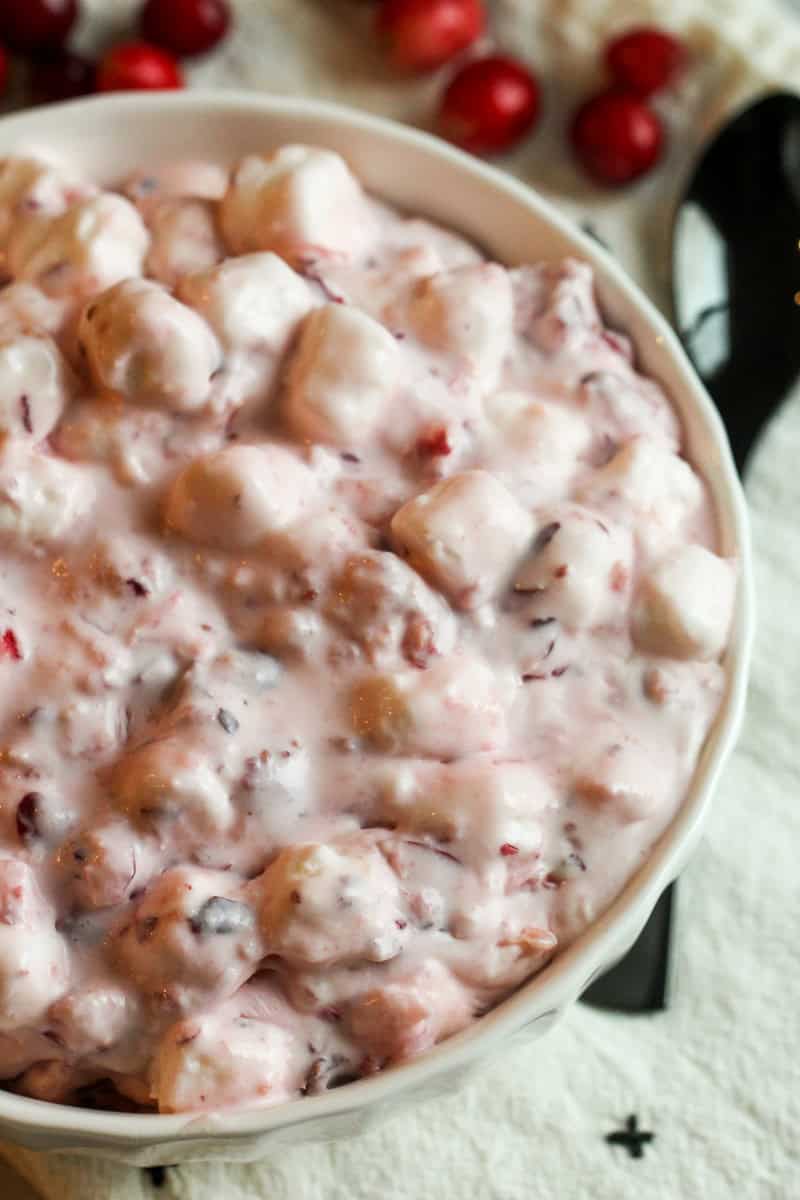 prepared cranberry salad in bowl for six sisters